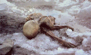 otzi11